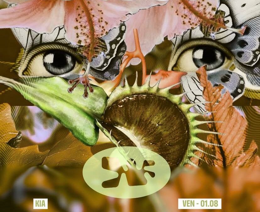 HORS-SOL x Macadam Kia (AU) Lastvuska