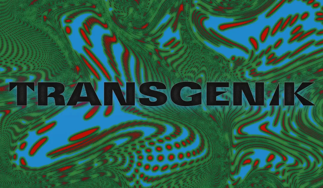 Transgenik X Bae Party
