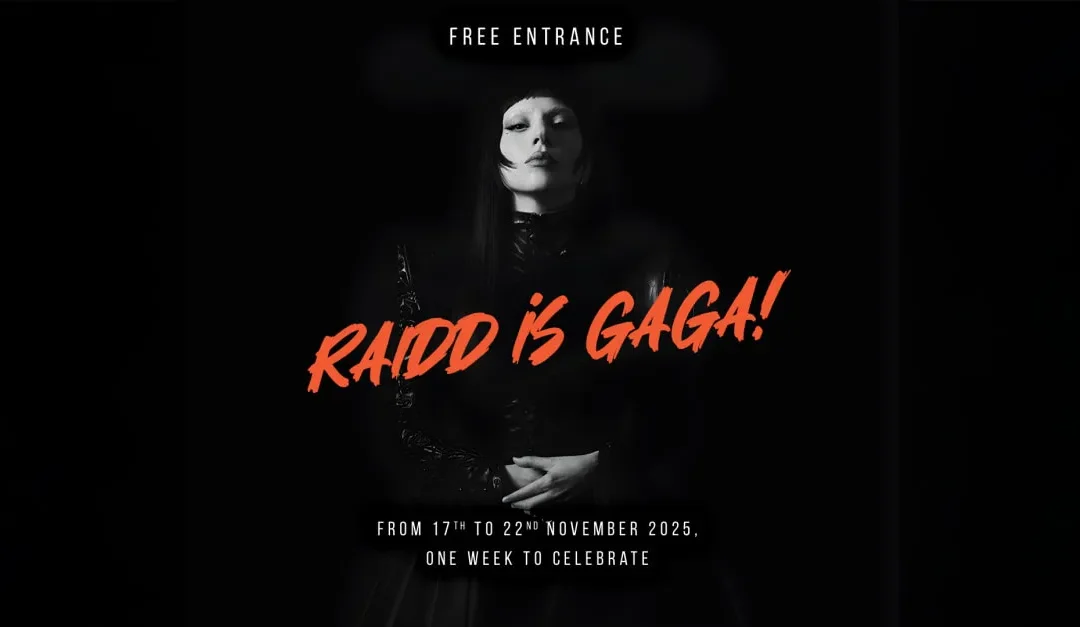 Raidd Is Gaga